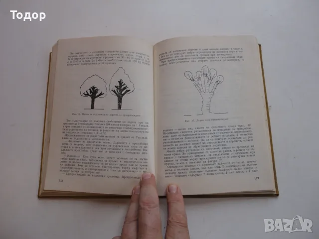 Книга Календар за овощаря Виденов , снимка 5 - Специализирана литература - 56254071