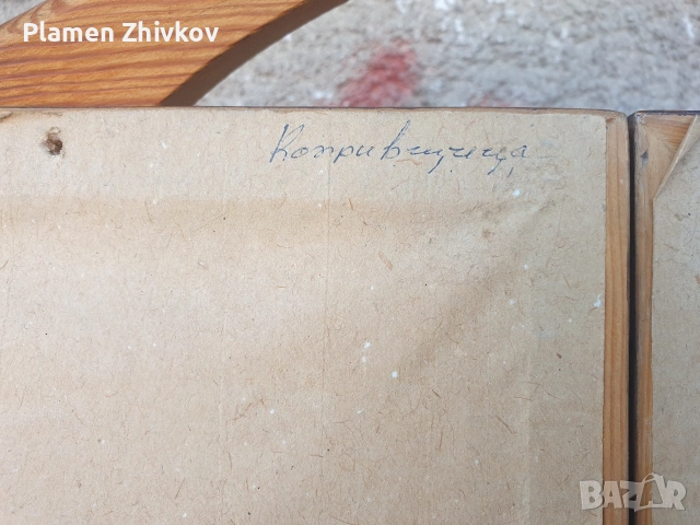 две рамкирани картини на тема Копривщица , снимка 10 - Картини - 53796937