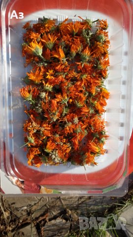 Продавам изсушени цветове на Невен  