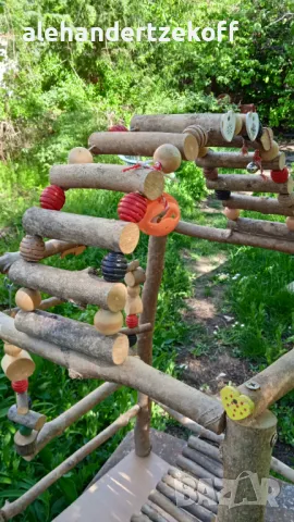 Кацалка за папагал с люлка, снимка 4 - За птици - 50097804