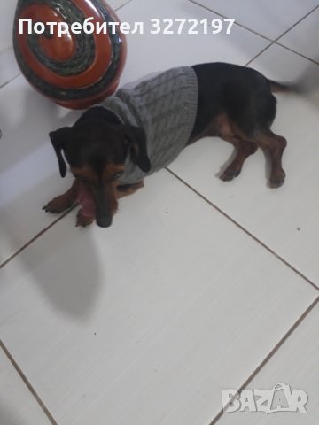 Toпъл пуловер за куче - високо качество, снимка 14 - За кучета - 41015299