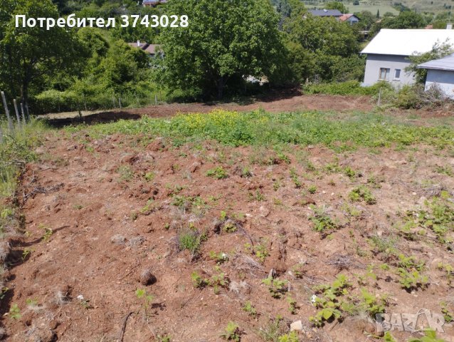 Продавам парцел в Малка Верея , снимка 14 - Парцели - 41057677