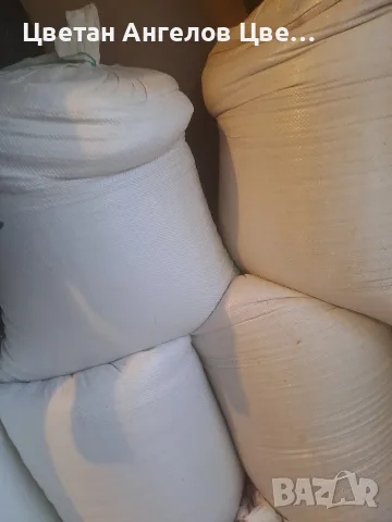 продавам просо 1€ кг, снимка 3 - За птици - 56189113