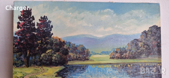 Стара картина, подписана!, снимка 4 - Картини - 53225193