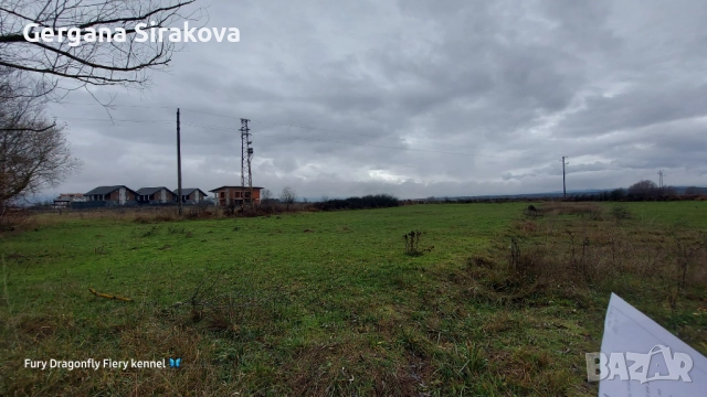 Земеделска земя, снимка 5 - Земеделска земя - 52606353