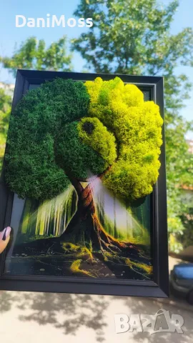 Дървото на живота от скандинавски мъх, снимка 1