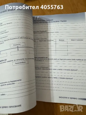 Тетрадка по Биология, снимка 3 - Учебници, учебни тетрадки - 47379494