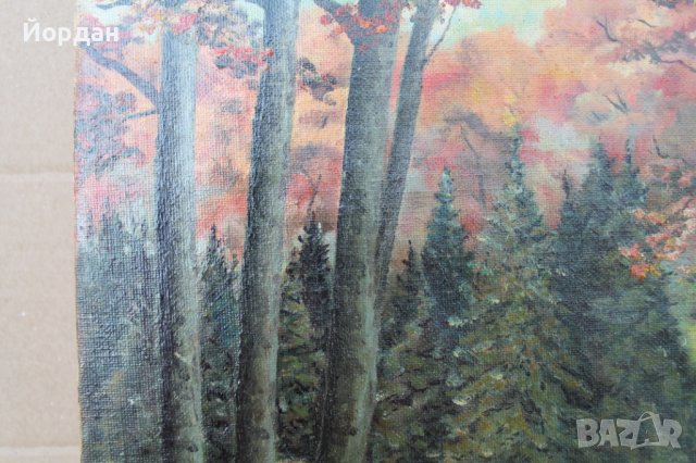 Картина  масло върху платно!, снимка 4 - Картини - 41552121