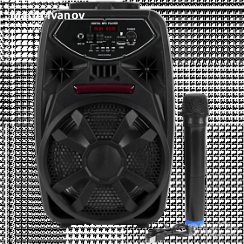 Преносим Bluetooth високоговорител с вход за микрофон PK-09(L)
