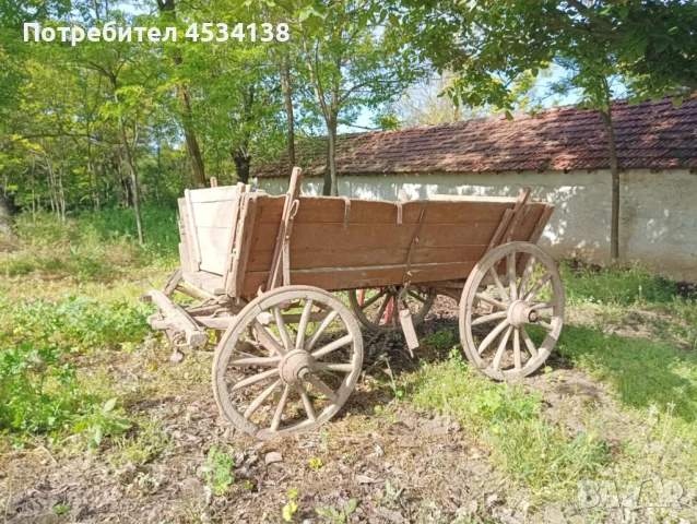 Магарешка каручка, снимка 2 - Други - 51083148