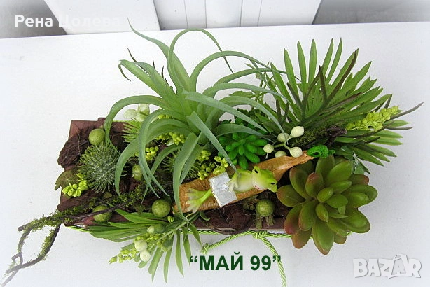 Сукуленти и тиландсия в дървено сандъче, снимка 4 - Декорация за дома - 53266543