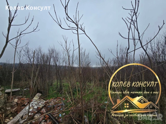 Къща село Целина , снимка 5 - Къщи - 53540715