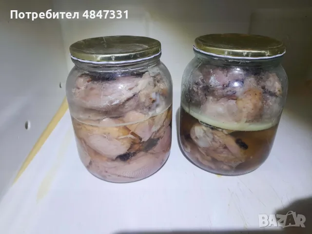 Кокошки.                            ., снимка 2 - Кокошки и пуйки - 56183317