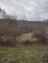 Имот в с.Габер, община Драгоман , снимка 4