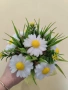Маргаритки , снимка 3