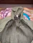 Nike Tech оригинално мъжко горнище размер л. , снимка 4