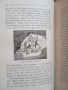 Уникална антикварна книга за България и Балканските страни 1899, снимка 5