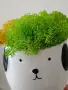 Декорация, скандинавски мъх, кученце, за подарък, снимка 2