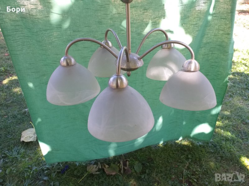 Немски полилеи, снимка 1