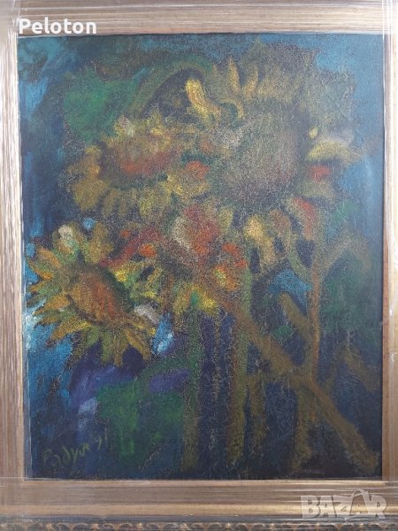 Радул Шишков , снимка 1