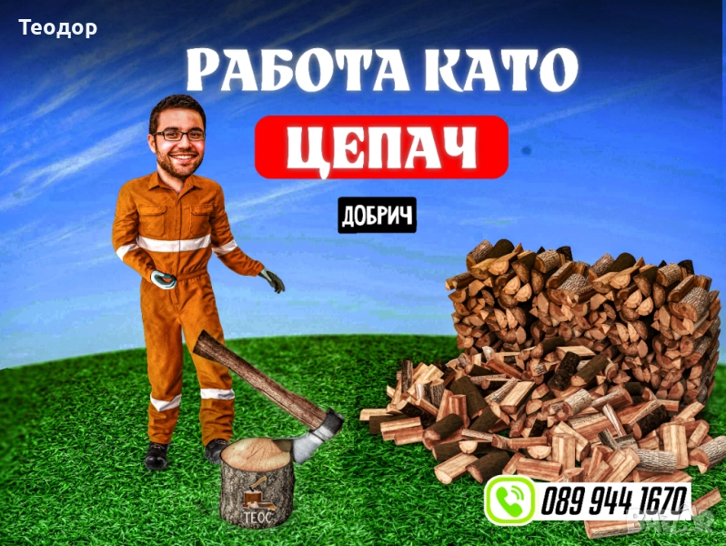 Работа като дървоцепач - борса дърва за огрев, снимка 1