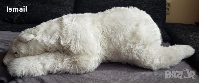 Плюшено мече, снимка 2 - Плюшени играчки - 35983456