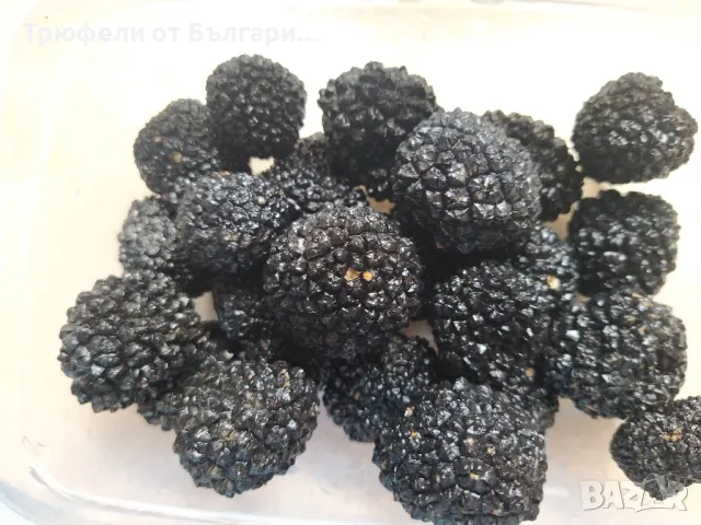 трюфели , снимка 2 - Други - 48261842