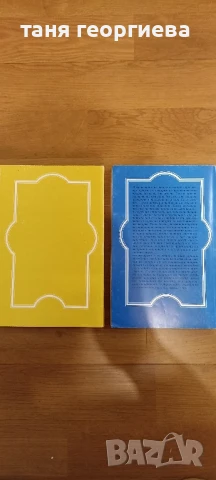 две книги, снимка 2 - Специализирана литература - 50677314