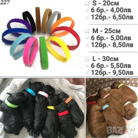 Нашийници за малки и средни кучета и котки. Каишка за мъжко и женско куче. Нашийник с панделка, снимка 3 - За кучета - 23157888