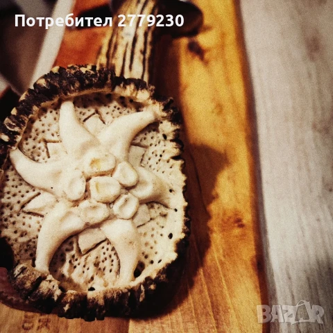 Нож-Експонат от EXPO 1981 Уникален!!!, снимка 13 - Колекции - 51133954