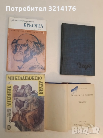 Дневник на Микеланджело-Лудия - Роландо Кристофанели