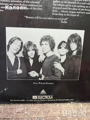 Грамофонна плоча - Patti Smith Group Radio Ethiopia , снимка 3 - Грамофонни плочи - 52462698