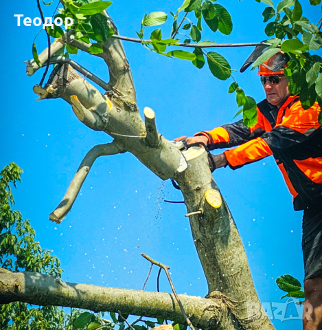 Косене, рязане и разчистване на парцели, снимка 6 - Други почистващи услуги - 44635424