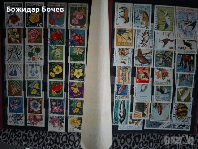 Пощенски марки , снимка 9 - Филателия - 53295308