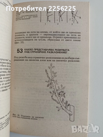 331 Съвета за овощаря, снимка 3 - Специализирана литература - 52964488