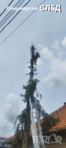 Предлагаме косене, отстраняване и кастрене на дървета, оформяне на храсти и други градинарски услуги, снимка 12 - Други почистващи услуги - 53608621