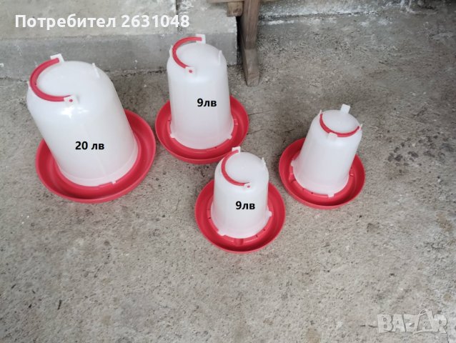 Обява в За птици в гр. Варна - ID41324158 — Bazar.bg