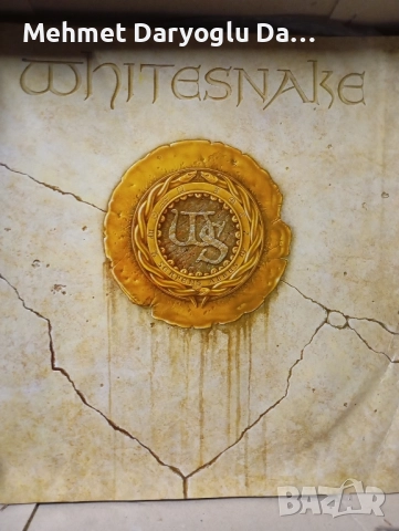 Грамофонна Тест преса на White Snake , снимка 2 - Грамофонни плочи - 51431878