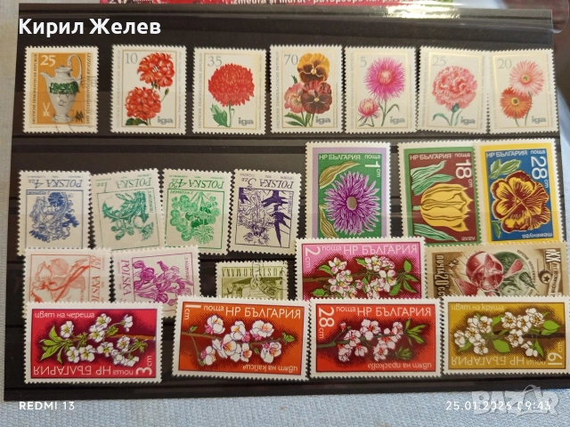 Стари пощенски марки от цял свят смесени ЦВЕТЯ за КОЛЕКЦИЯ ДЕКОРАЦИЯ 52116