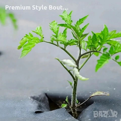 Черен агротекстил против плевели, 90г/м², UV защита, 1.1м х 50м, снимка 6 - Други - 53833652