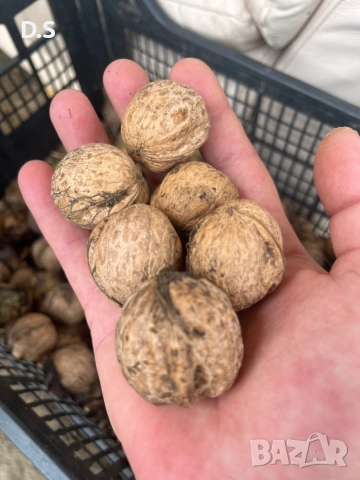 Продавам орехи 