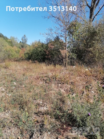 Парцел с. Панчарево, София, снимка 17 - Парцели - 51669556