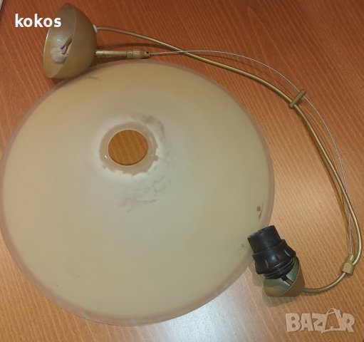 Полилей пендел, снимка 2 - Полилеи - 42206509