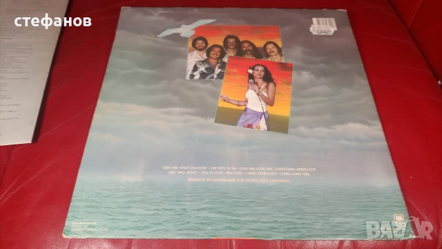 Дългосвиреща грамофонна плоча на SEAWIND, А&М , снимка 2 - Грамофонни плочи - 50733985