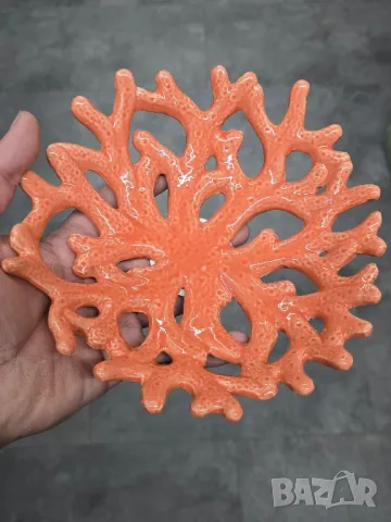 купички корали , снимка 3 - Чинии - 49588194