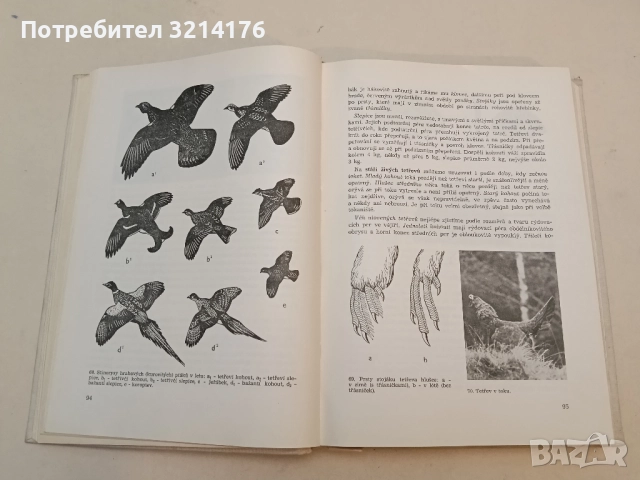 Myslivost. Státní zemědělské nakladatelství – Колектив (1966), снимка 7 - Специализирана литература - 51428570