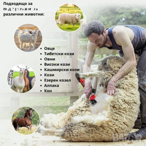 Електрическа машинка за стригане на овце и кози PAT JULIMG – 1000W, 6 скорости, професионални острие, снимка 5 - За селскостопански - 53135282