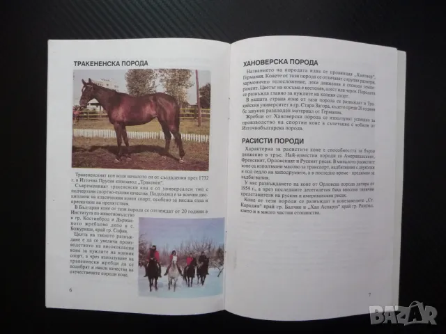 Породи коне развъждани в република България дунавска плевенска, снимка 2 - Други - 48753710