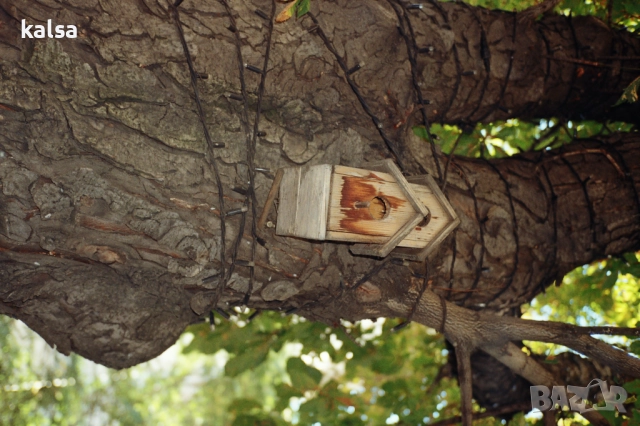 Продавам Canon EOS 3000, снимка 6 - Фотоапарати - 51916360