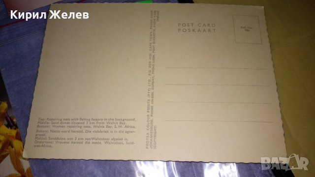 ЛОТ 3 СТАРИ РЕДКИ ПОЩЕНСКИ КАРТИЧКИ ЮЖНА АФРИКА и ДРУГИ 7453, снимка 5 - Филателия - 38729868